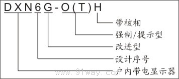 DXN6系列戶內帶電顯示器型號說明