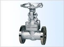 Z41H/Y���l�y