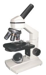 36XC�W���@΢�R