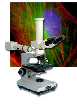 61X�pĿ�����@΢�R