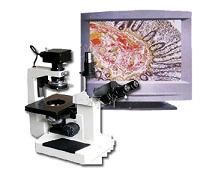 37XTVҕ�l�������@΢�R