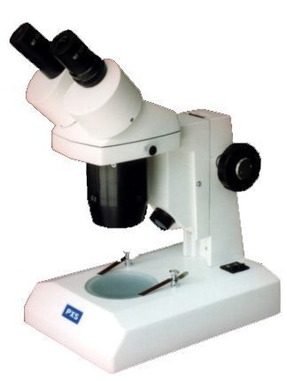 PXS׃�����wҕ�@΢�R