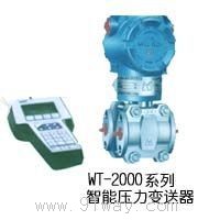 WT-2000���܉���׃����