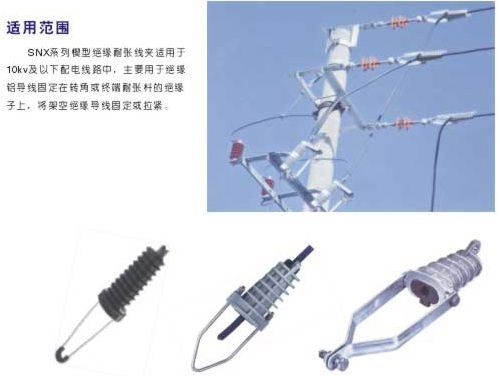 SNXϵ���͏����A