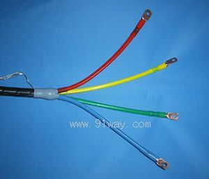 LS-1ϵ��1KV��s�K��