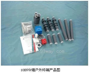 WLSY-10��10KV��s����K��