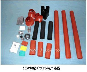 WSY-10��10KV��s����K��