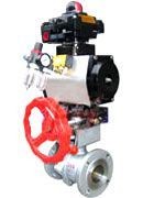 ZSHO���O���Д����y