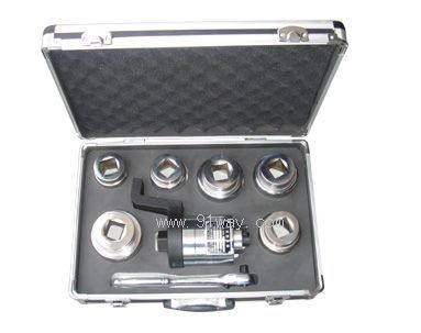 FYϵ�����طŴ���