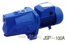 JSPϵ��������