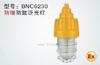 SH/BNC6230防爆防眩泛光燈(ⅡC)