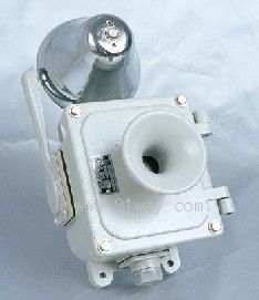 YLM������