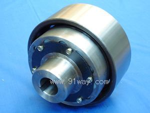 HLL�͎��Ƅ�݆�������N�S��