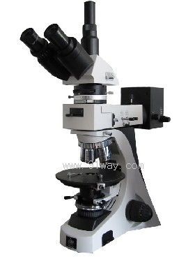 59XD�V���@΢�R