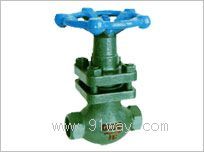 U11SM���������y