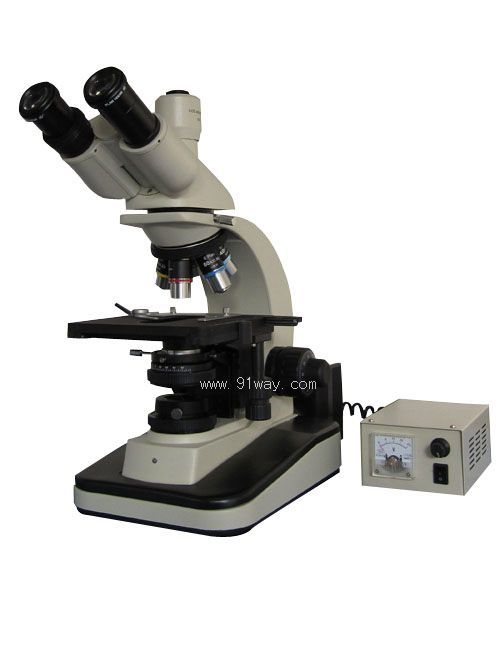 44X3�����@΢�R