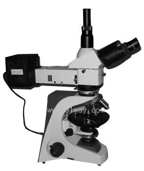 59XCƫ���@΢�R