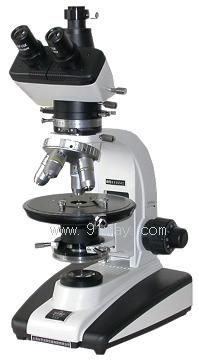 59XAƫ���@΢�R