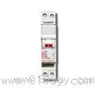 GPN/1P+N΢�͔�·��