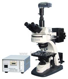 BM-20AWY�ɹ��@΢�R