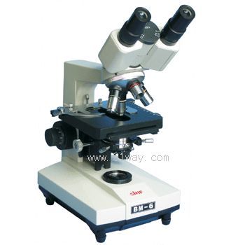 BM-6�pĿ�����@΢�R