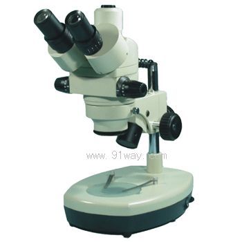 PXS-E�B�m׃����Ŀ�wҕ�@΢�R