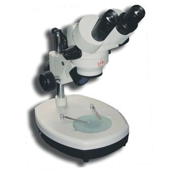 PXS-���wҕ�@΢�R