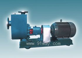 ZH�Ͳ��P�������