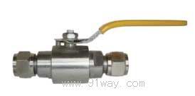 Q91F���P䓿���ʽ���y