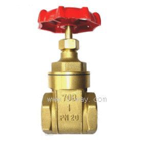 Z25W�S�~�l�y