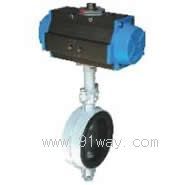 ZSHW系列中線軟密封蝶閥