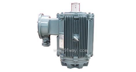 TYPL����׃�l�ݗU�Ì���늙C