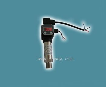 PT110�͉���׃����