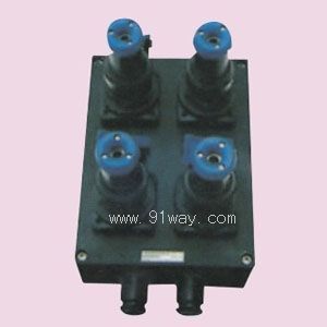 BXS8030ϵ�з��������Դ������