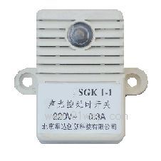 SGKI-1����ӕr�_�P