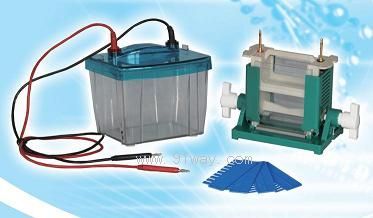 DYCZ-25D��(��)�p��ֱ�Ӿ�x