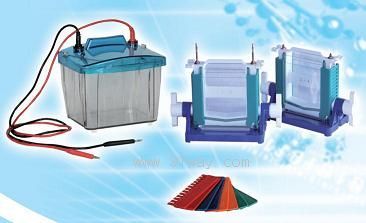 DYCZ-25E��(��)P4���״�ֱ�Ӿ�x