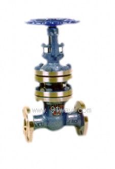 YDGWZ41���˲��y���l�y