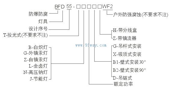 BFD55系列防爆防腐燈型號說明