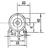 AO系列三相異步電動機臥式尺寸