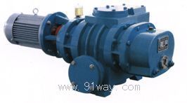 ZJP型羅茨真空泵