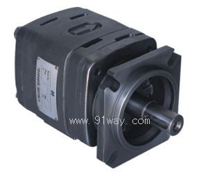 IGP-2ϵ�Ѓ�(n��i)�����X݆��