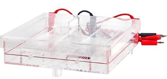 QC-A�����w�S��Ĥ�Ӿ��