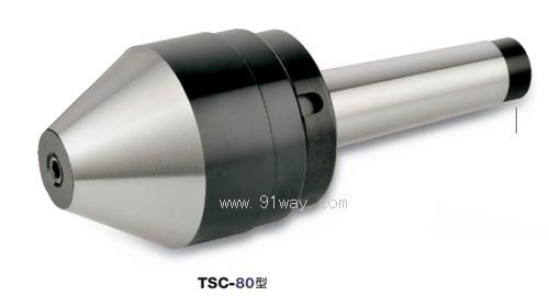 TSC-80������ؓ����