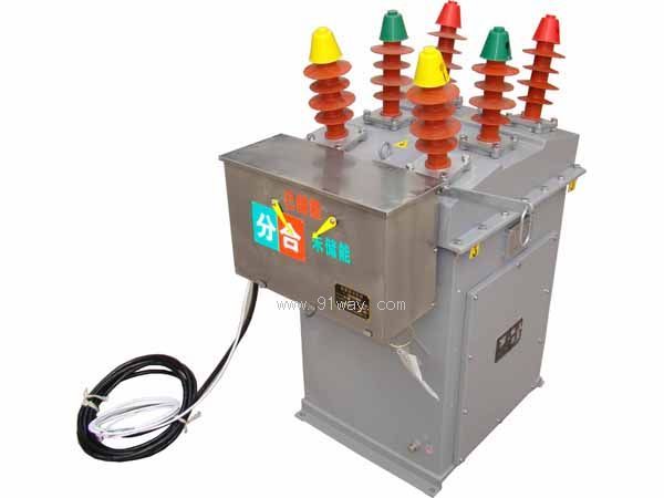 ZW8J-12һ�wʽӋ���߉���·��