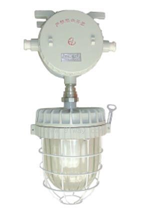 CDW57�����o�O��(IIB)