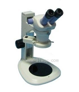 ZOOM460�pĿ�B�m׃���wҕ�@΢�R