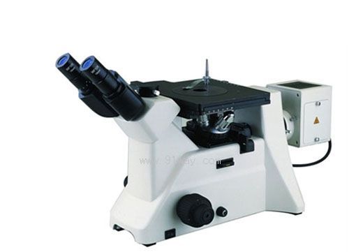 NK-MDS�м������@΢�R