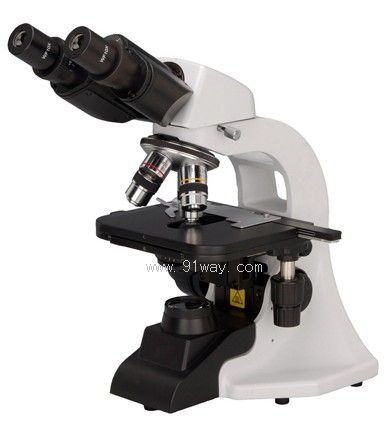 BM-1000�����@΢�R