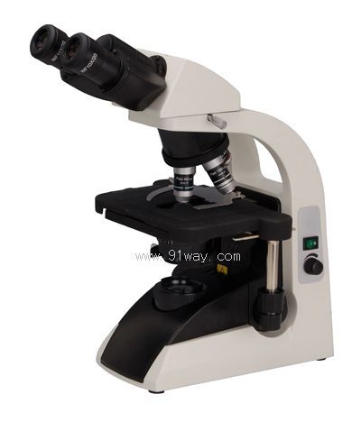 BM2000�����@΢�R